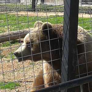Meet your Posher, Jerry